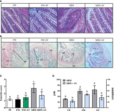 Aloe vera reduces gut inflammation induced by soybean meal in Atlantic salmon (Salmo salar)